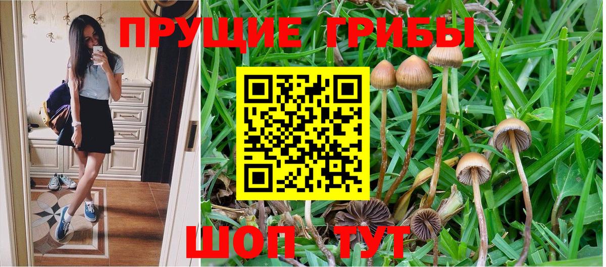 Чусовой  Псилоцибиновые грибы Magic Shrooms  где можно купить наркотик  Вход с VPN  Псилоцибиновые грибы Psilocybe 