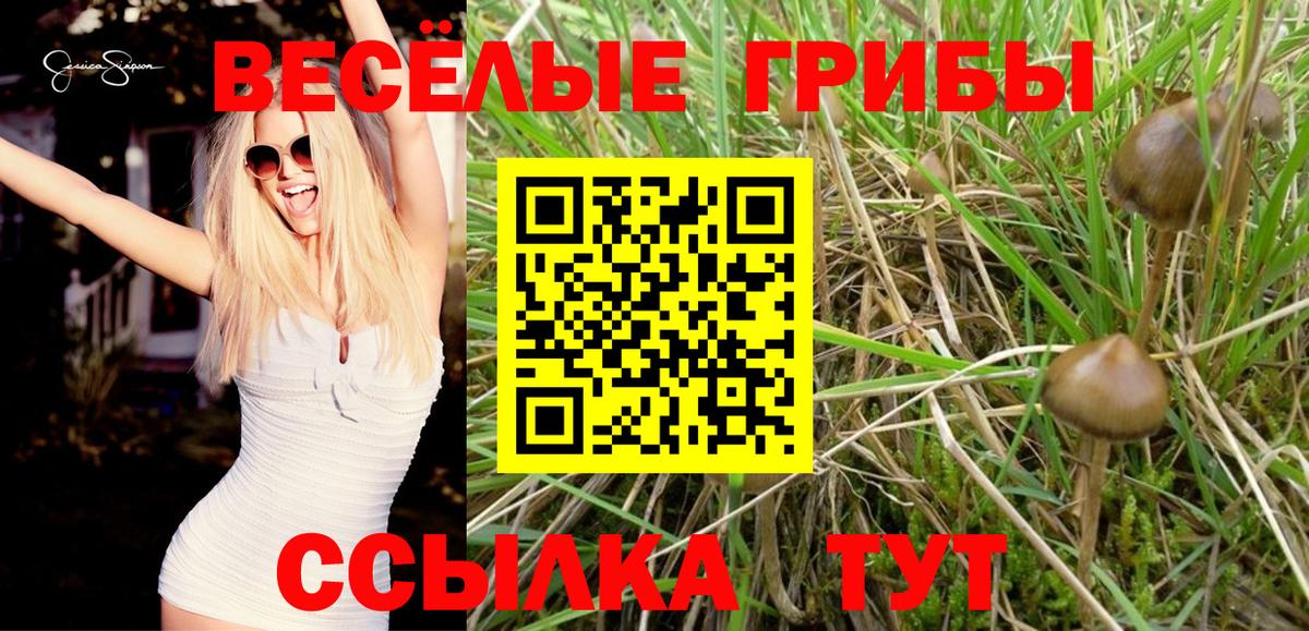Галлюциногенные грибы прущие грибы Чусовой